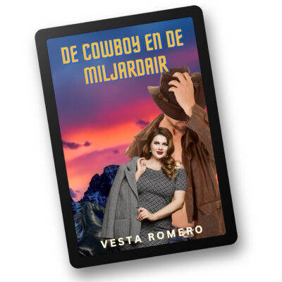 de cowboy en de miljardair door vesta romero